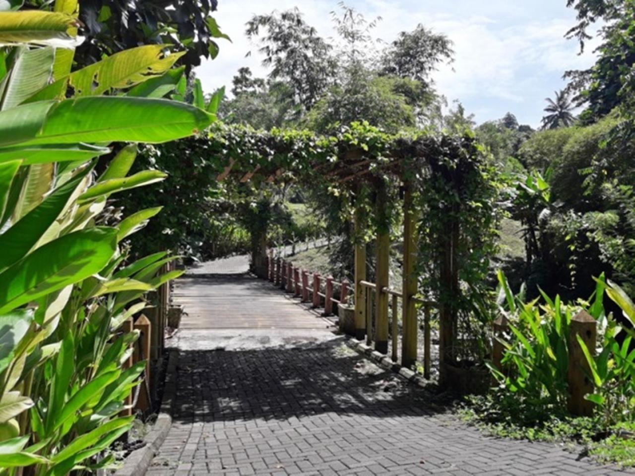 Botanica Nature Resort Bitung Ngoại thất bức ảnh